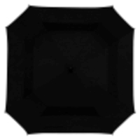 Black Umbrella with logo