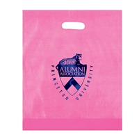 Promotional Foil Stamped Frosted Die Cut Bag