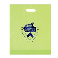 Imprinted Foil Stamped Frosted Die Cut Bag