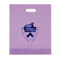 Branded Foil Stamped Frosted Die Cut Bag