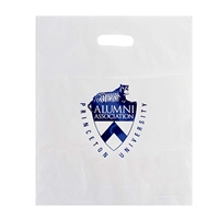 Custom printed Foil Stamped Frosted Die Cut Bag