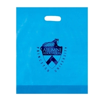 Promo Foil Stamped Frosted Die Cut Bag