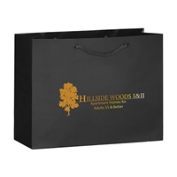 Promotional Paper Retail Shopping Bags
