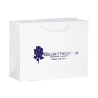 Paper Bags with Logo