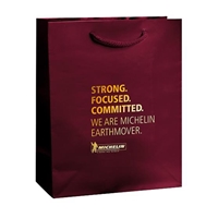 Promotional Paper Bags