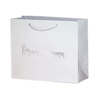 Custom Printed Paper Retail Bags