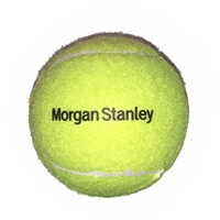 Customized bulk Pet Tennis Balls