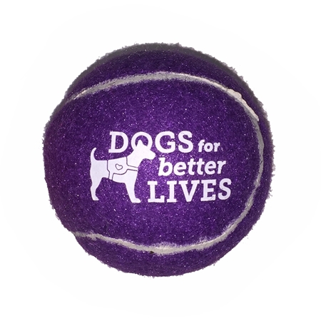 Branded Pet Tennis Ball